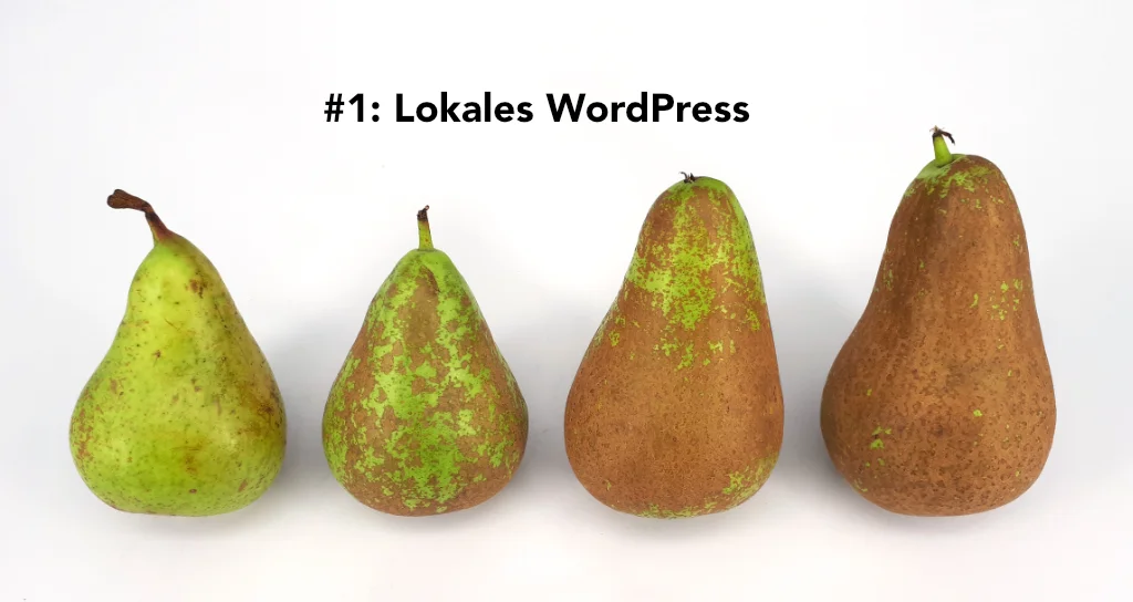 wpMostviertel Lokales WordPress